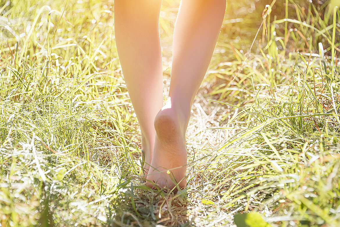 bare feet on green grass bare feet of children on a barbed green grass in the evening at sunset